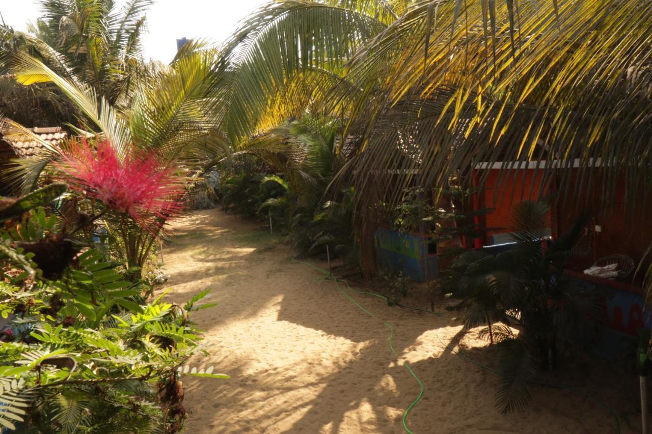 Secret Garden Arambol Exterior foto
